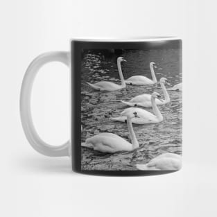 Elegant mute swans swimming the River Bure in the heart of the Norfolk Broads Mug